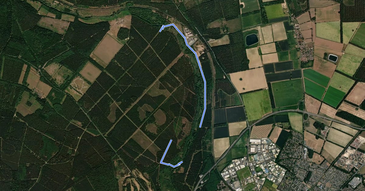 Маршрут Abbey Heath Circular Walk на спутниковом снимке
