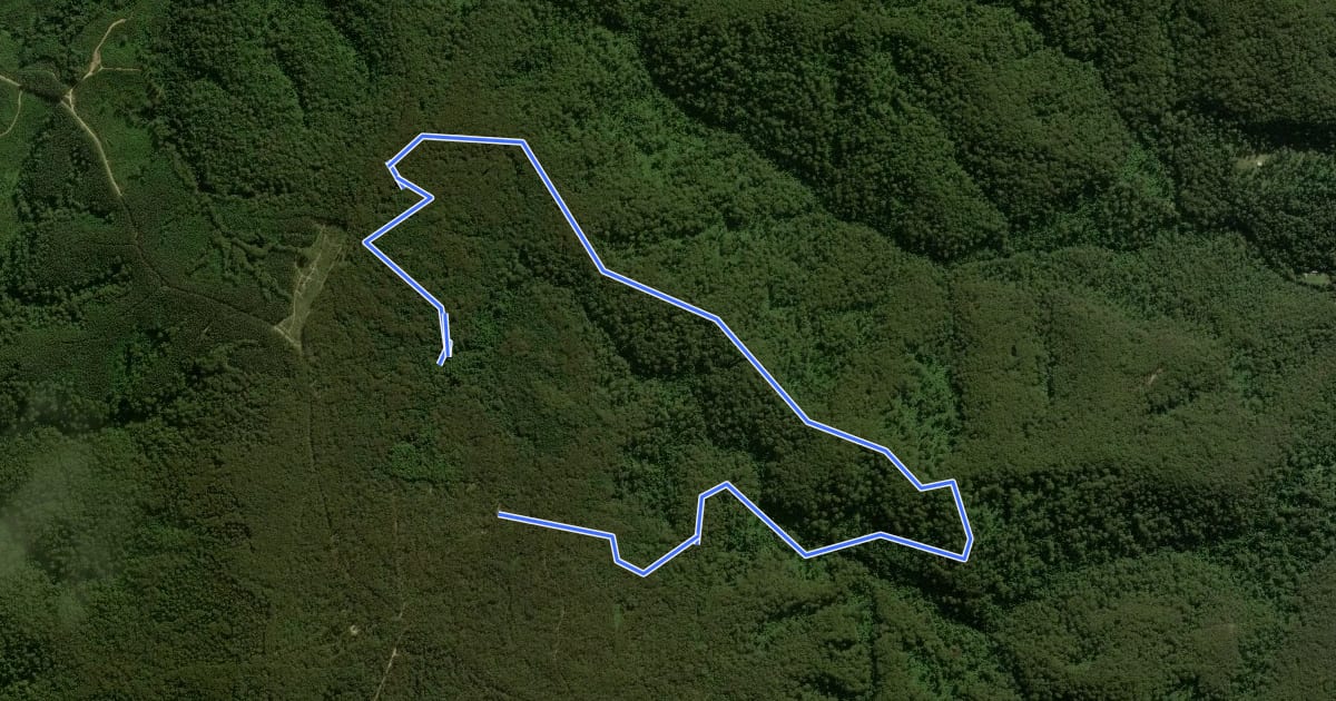Маршрут Abbotts Falls Walking Trail на спутниковом снимке