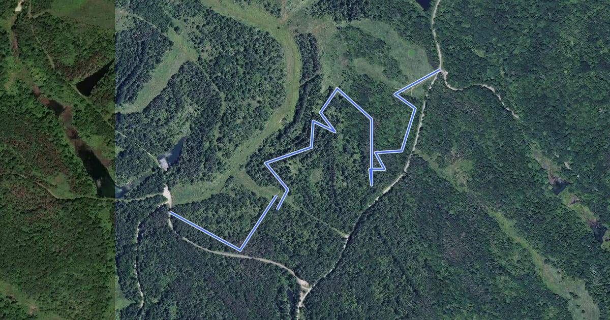 Маршрут Abby's Trail на спутниковом снимке