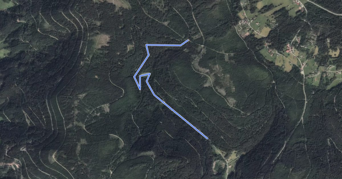 Маршрут Abgebrannte Hütte - Am Floßweiher на спутниковом снимке