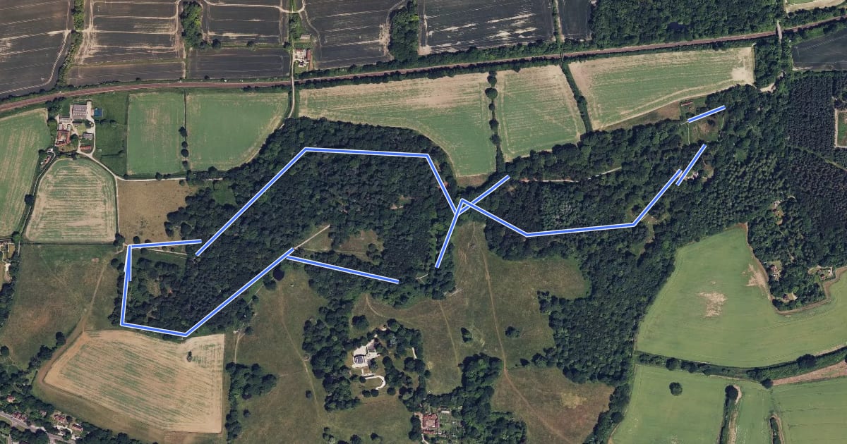 Маршрут Abinger Roughs Snowdrop Walk, North Downs West на спутниковом снимке