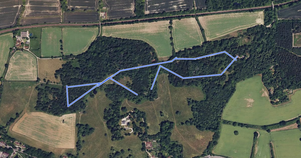 Маршрут Abinger Roughs Tree Trail, North Downs West на спутниковом снимке