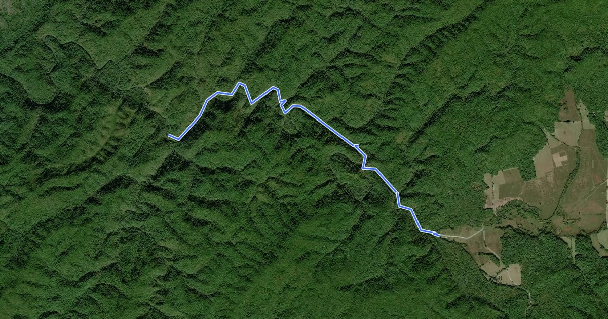 Маршрут Abrams Falls Trail на спутниковом снимке