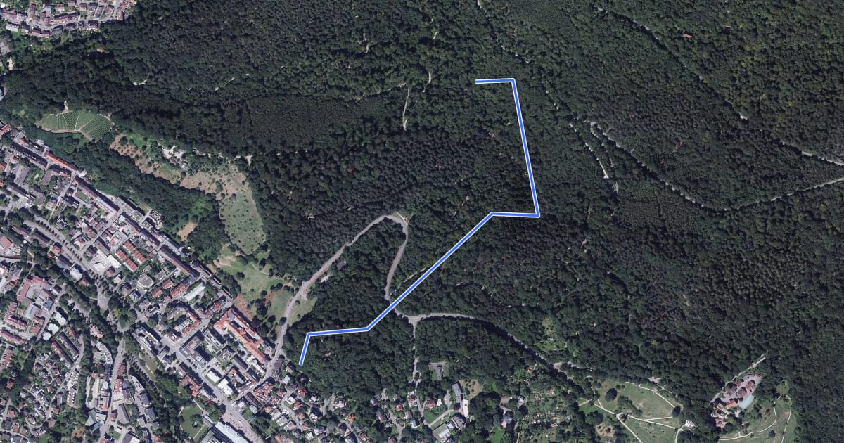 Маршрут Abzweig Belzerweg - Bei den alten Buchen на спутниковом снимке
