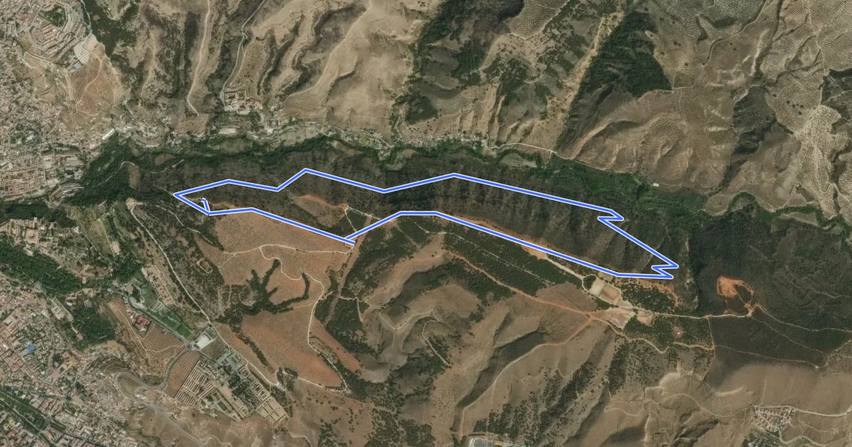 Маршрут Acequia Real - Dehesa del Generalife на спутниковом снимке