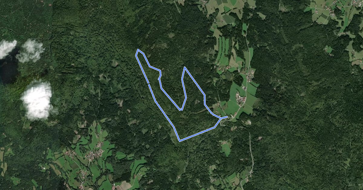 Маршрут Achslacher Rundweg Nr. 2 на спутниковом снимке