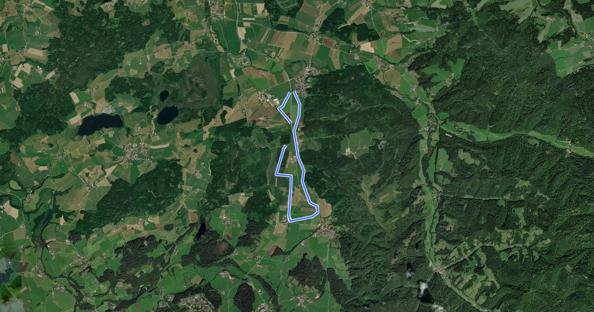 Маршрут Adeleggloipe (8,1 km) на спутниковом снимке