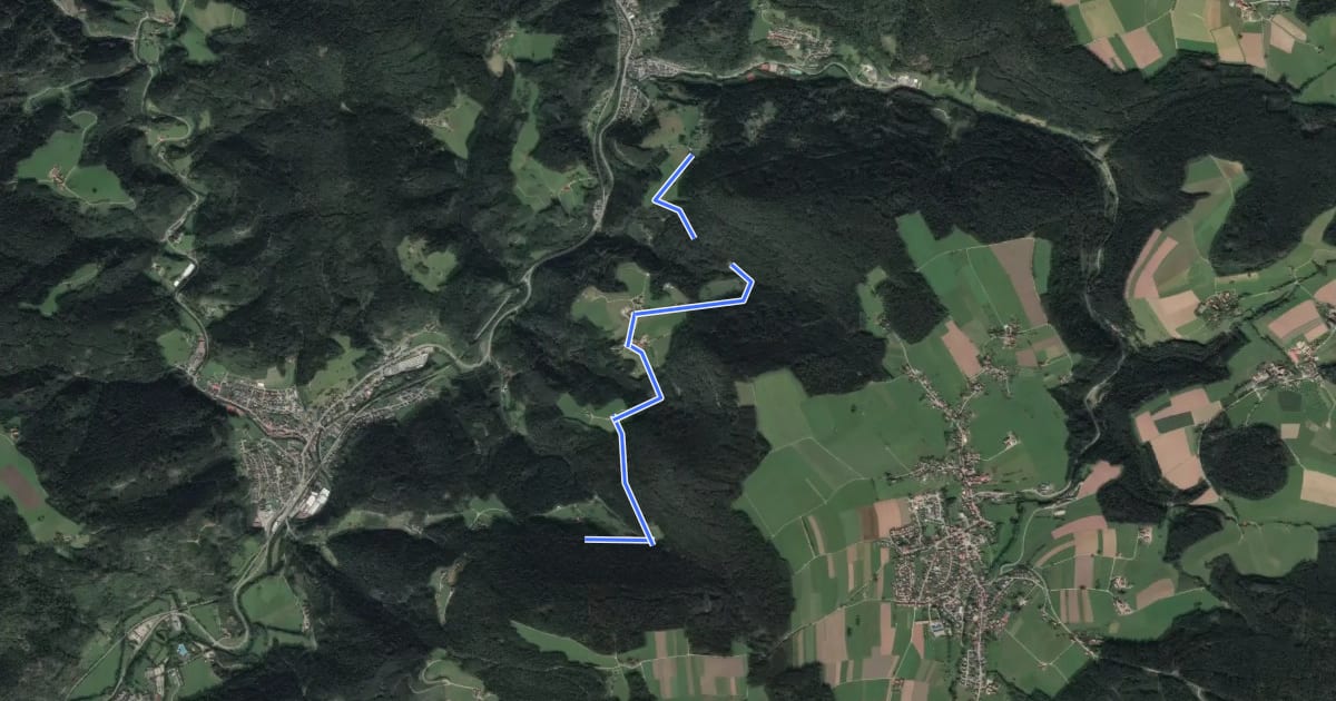 Маршрут Adelsberg - Müllerswald на спутниковом снимке
