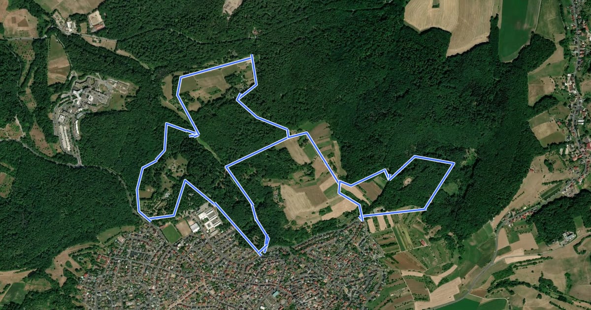 Маршрут Adler-Trail Nordic Walking Pink на спутниковом снимке