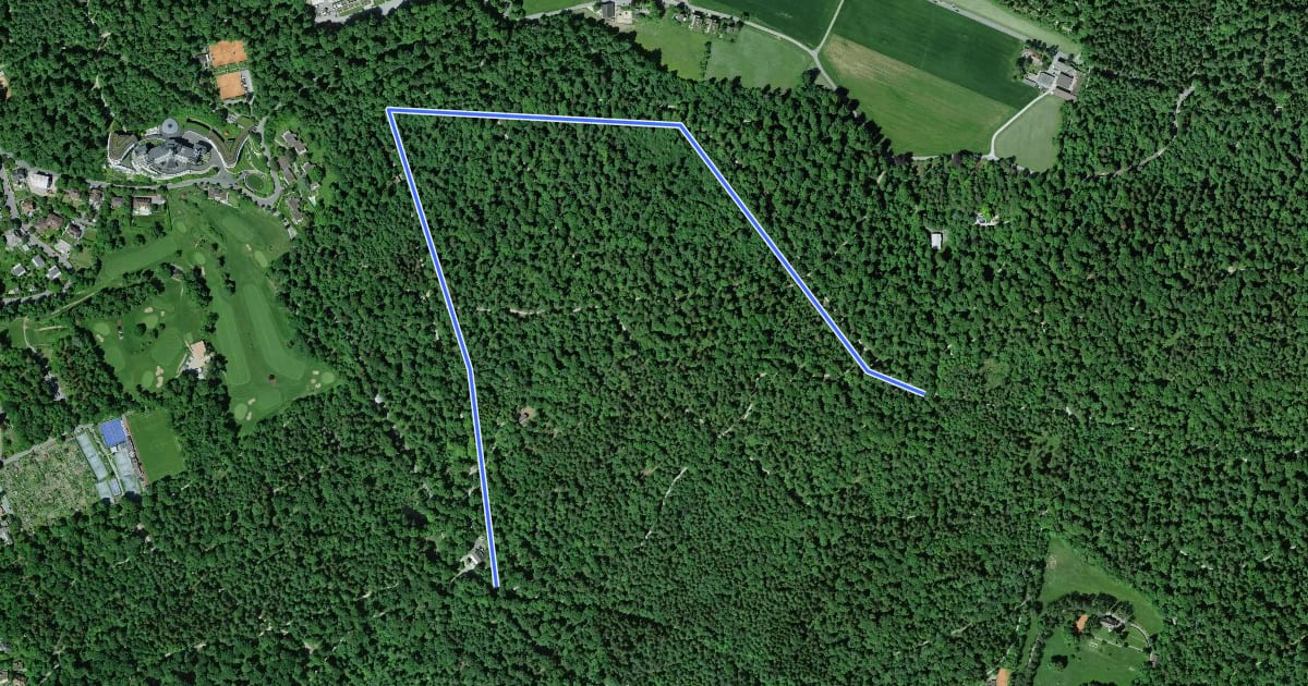Маршрут Adlisberg Trail на спутниковом снимке