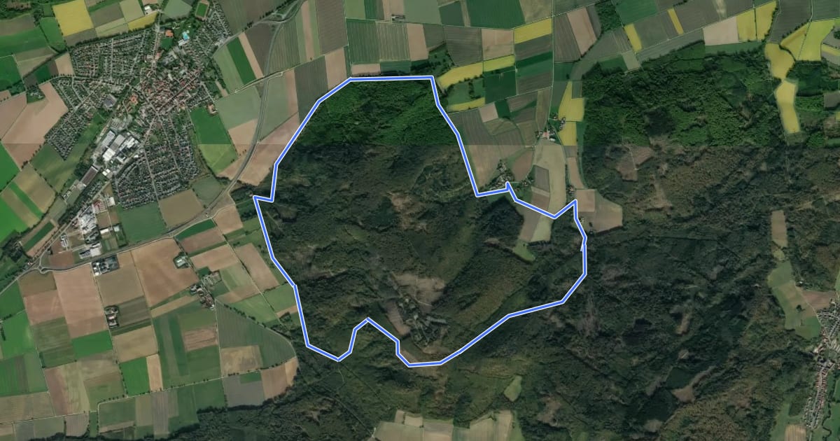 Маршрут AE3 Rundwanderweg über den Schierholzberg на спутниковом снимке