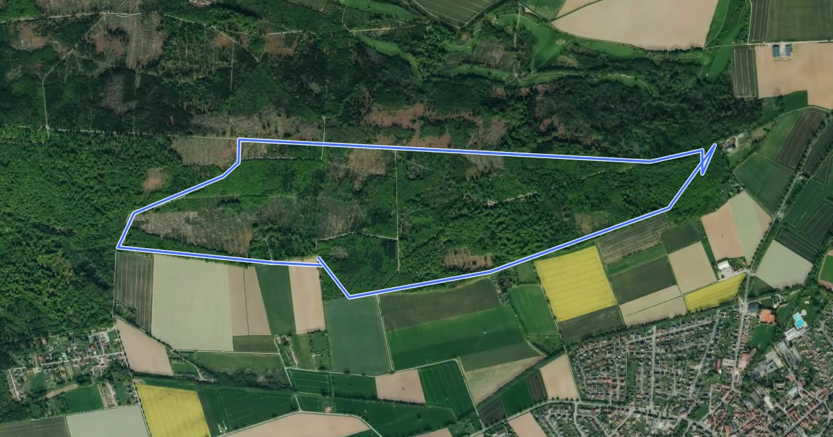 Маршрут AE7 Rundwanderweg auf dem Lüningsberg zwischen Waldquelle und Ahorn на спутниковом снимке