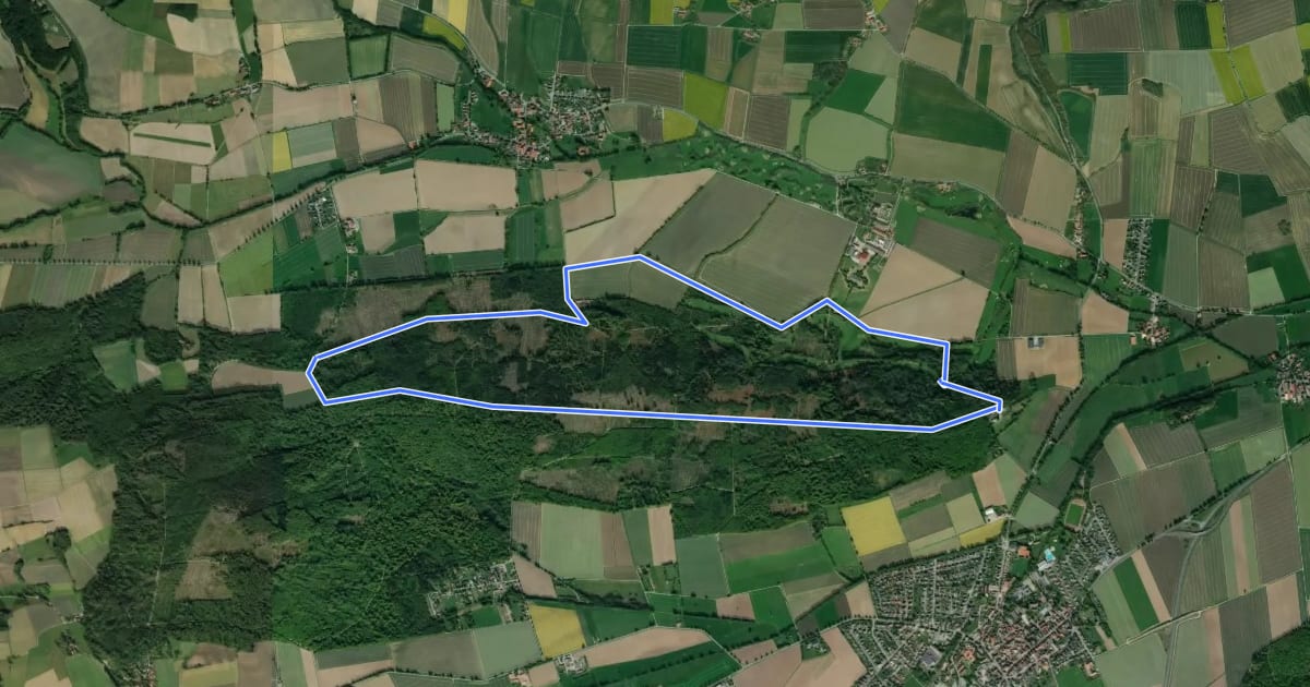 Маршрут AE8 Rundwanderung auf dem nördlichen Lüninbergsberg oberhalb Schloss Schwöbber на спутниковом снимке