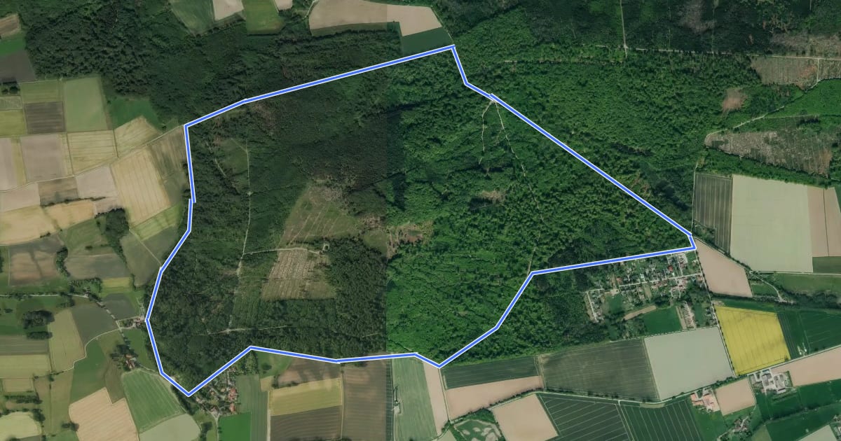 Маршрут AE9 Rundtour auf dem Ahornberg bei Reinerbeck на спутниковом снимке