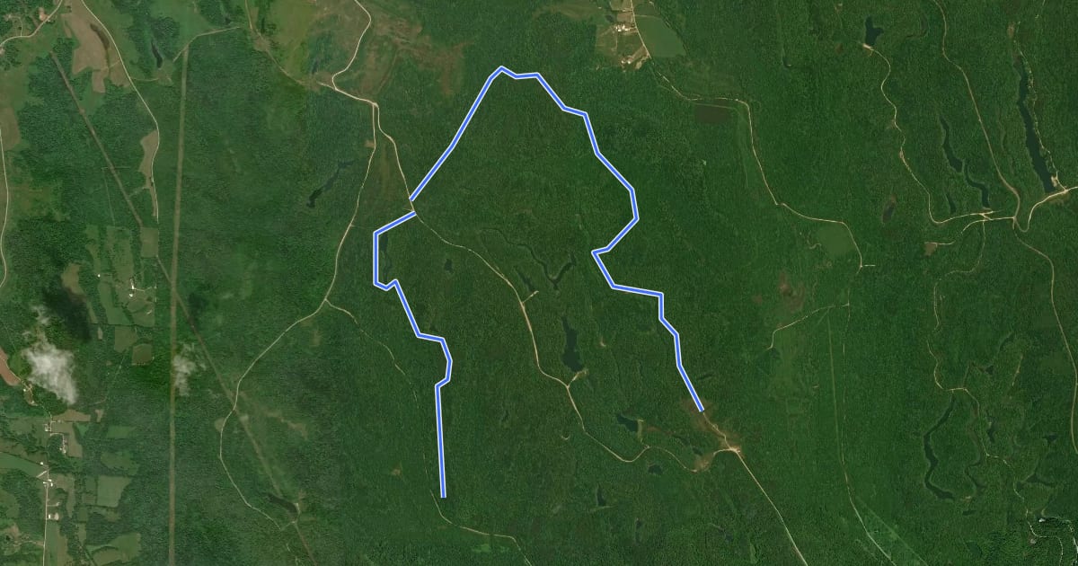 Маршрут Aep Morgan - Main Trail на спутниковом снимке