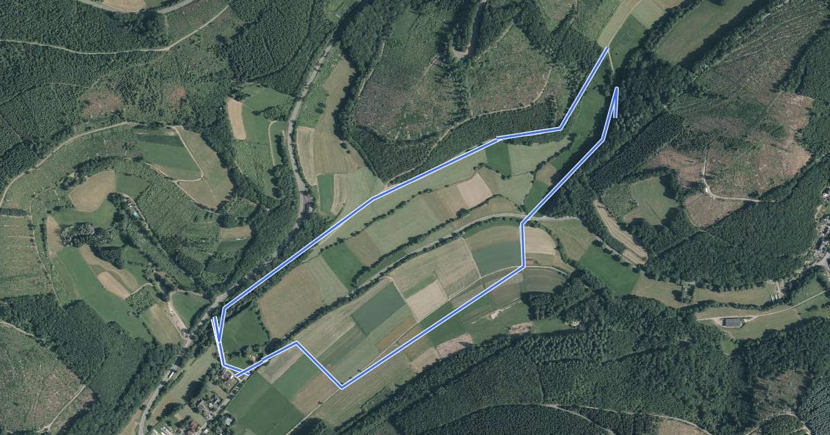 Маршрут Afholderbacher Weiher Rundweg A6 - Neue Netphe на спутниковом снимке