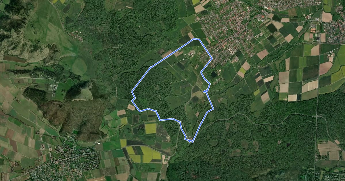 Маршрут Ahnatal, Rundweg 38 на спутниковом снимке