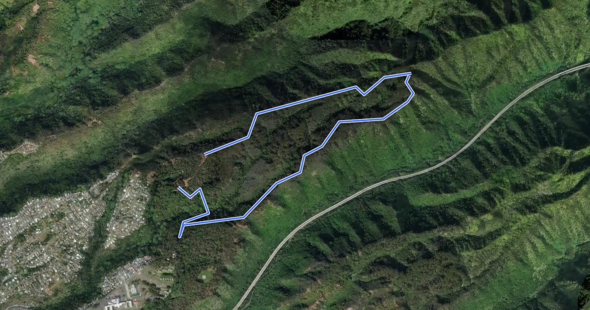 Маршрут Aiea Loop Trail на спутниковом снимке