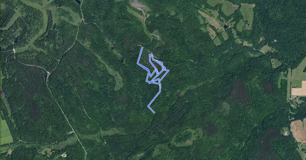 Маршрут Airport South Trail на спутниковом снимке