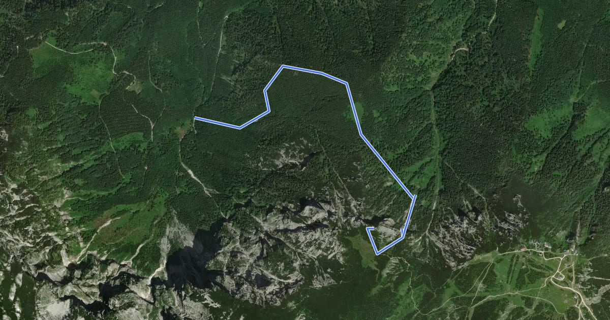 Маршрут Alberfeldkogel Nordostrinnensteig на спутниковом снимке