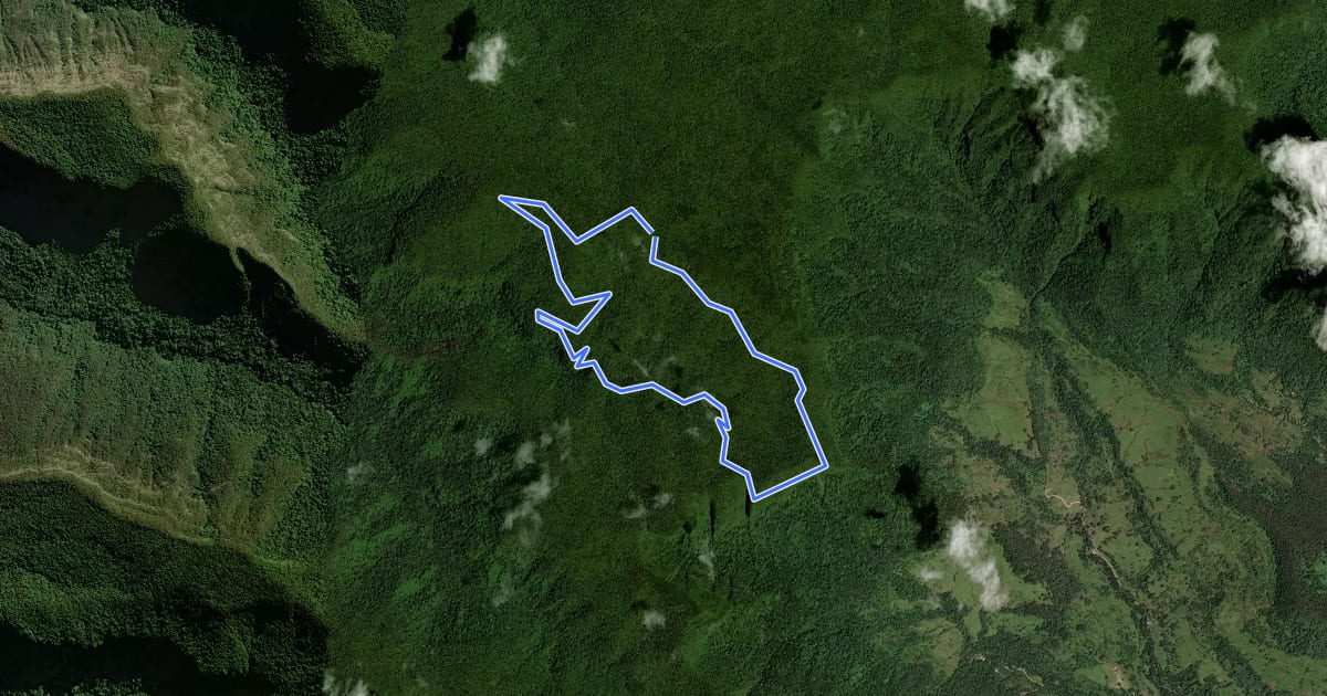 Маршрут Albert River Circuit на спутниковом снимке