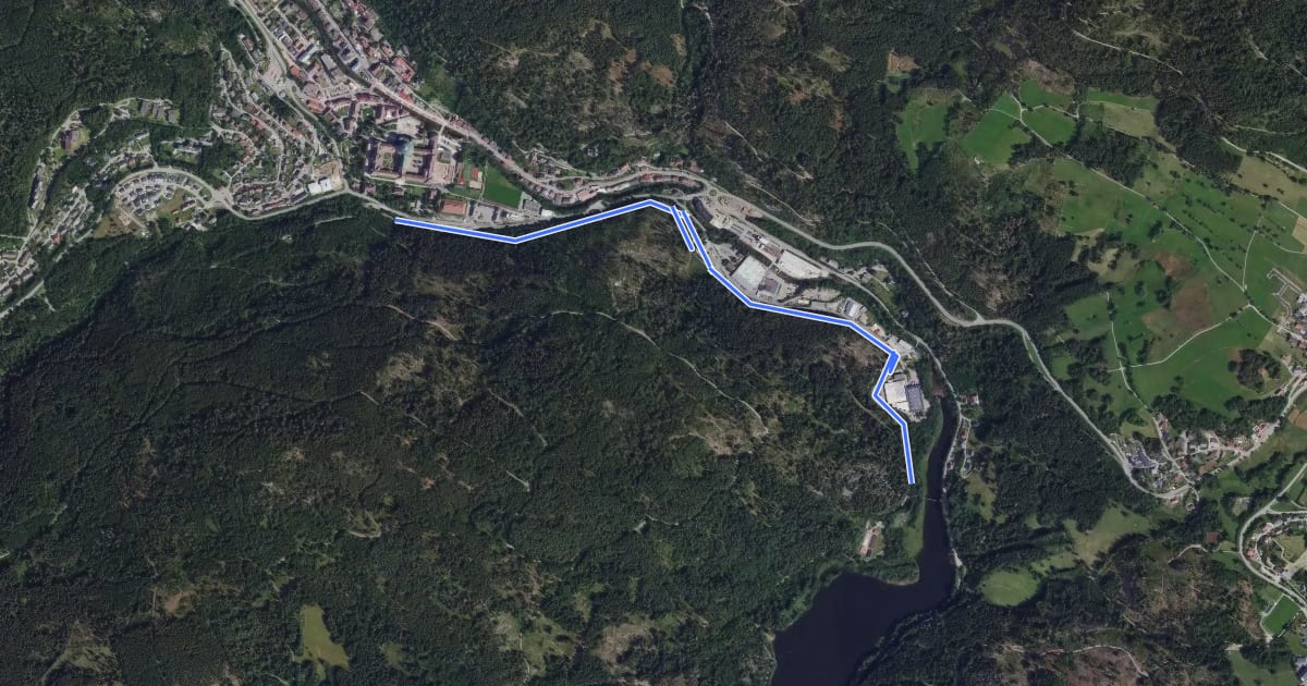 Маршрут Albseesteg - Weißenbergweg на спутниковом снимке