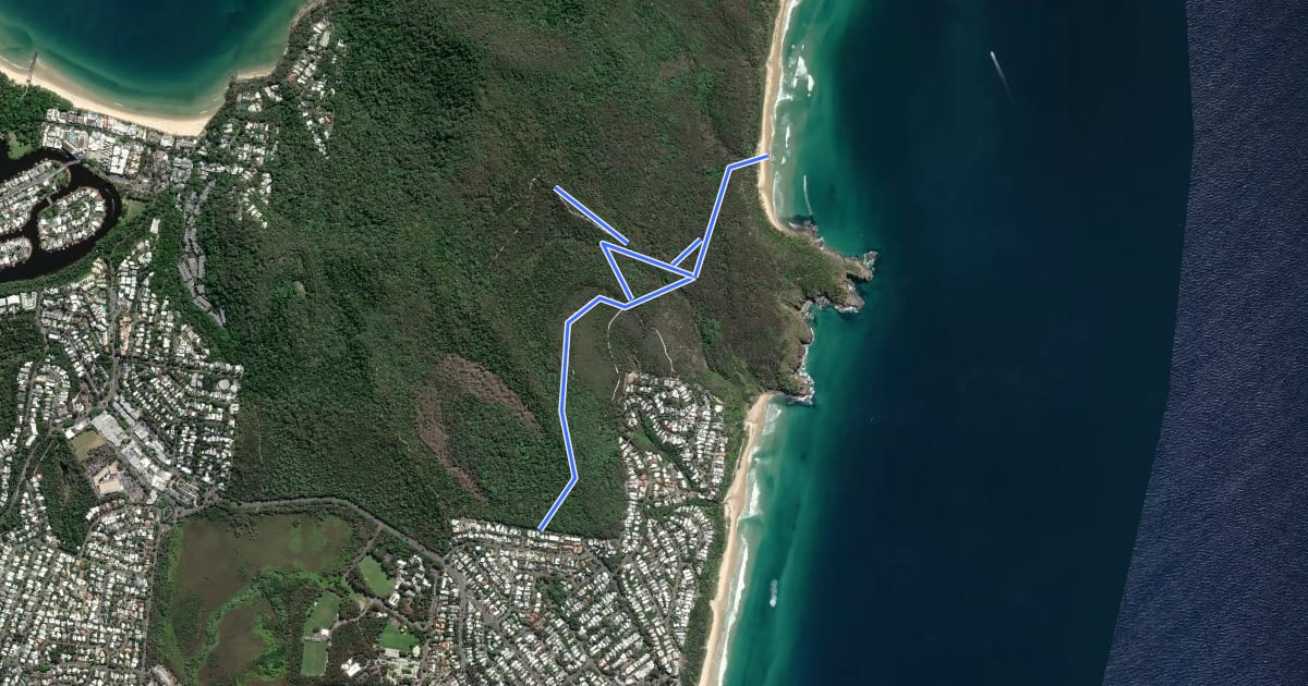 Маршрут Alexandria Bay Track на спутниковом снимке
