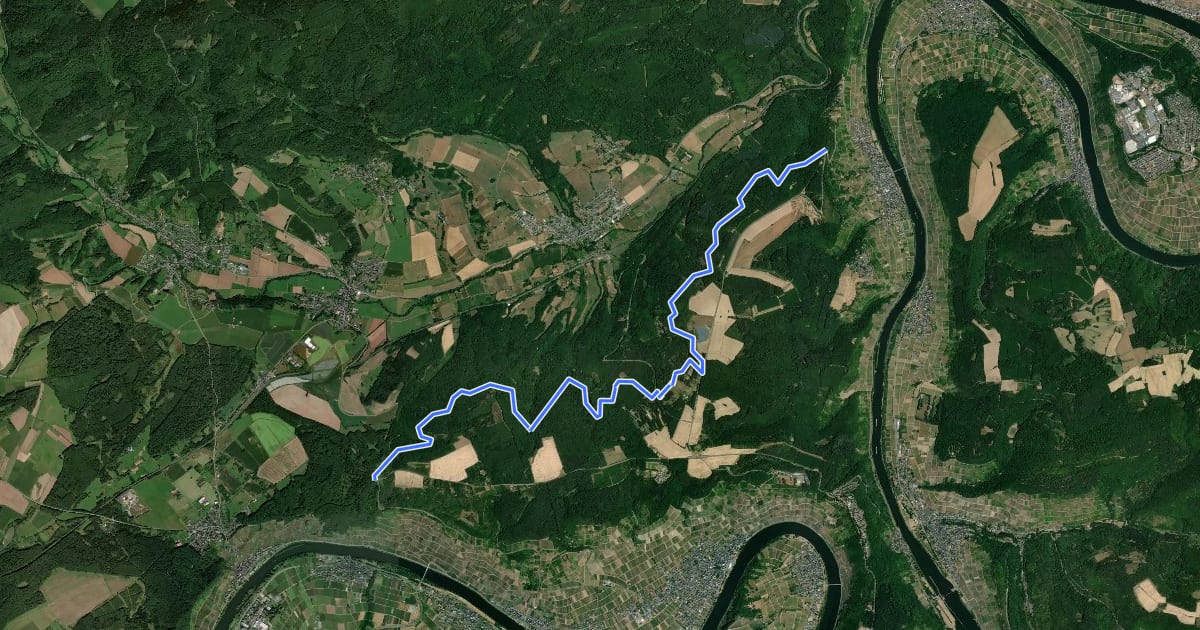 Маршрут Alftalhöhenweg на спутниковом снимке