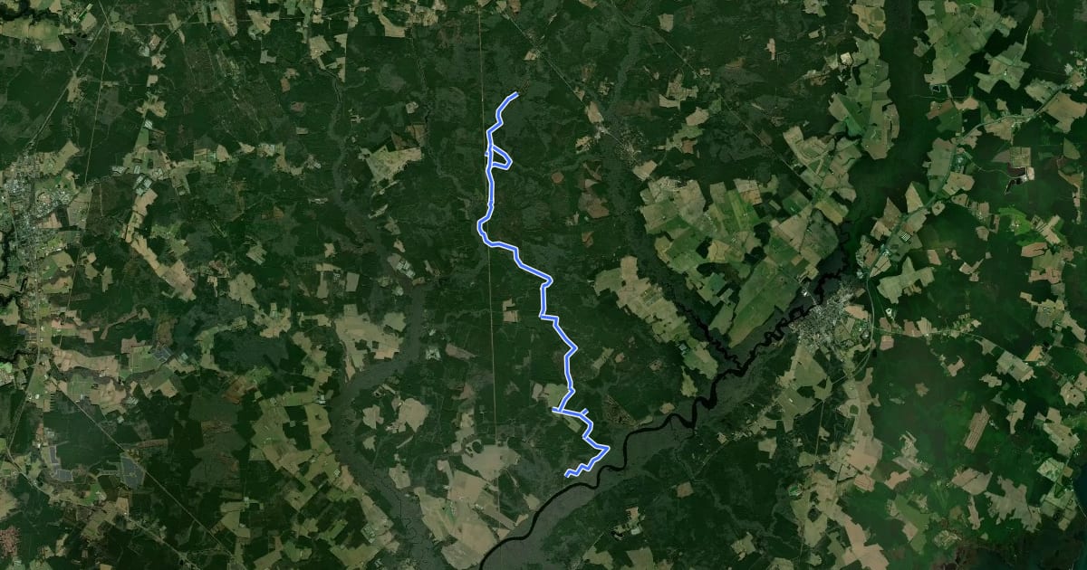 Маршрут Algonquin Cross Country Trail на спутниковом снимке