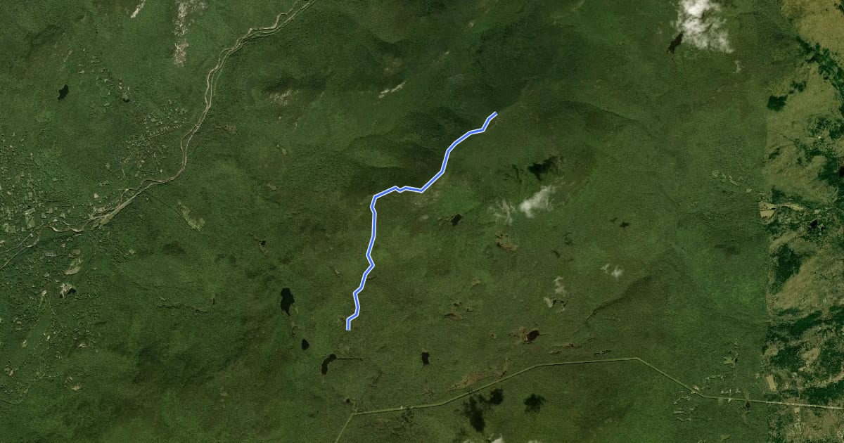 Маршрут Algonquin Trail на спутниковом снимке