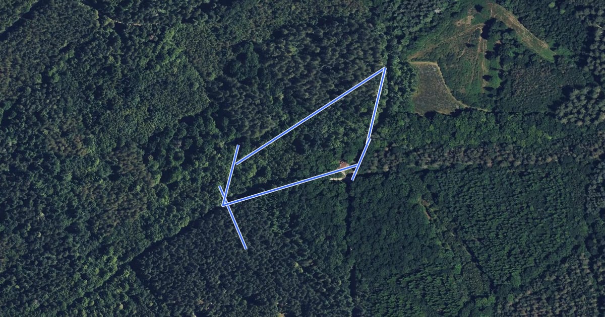 Маршрут Alice Holt Forest: Habitat Trail на спутниковом снимке