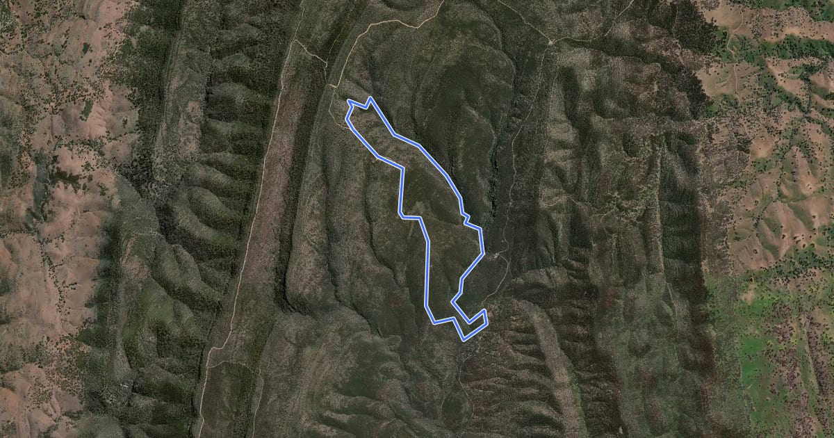 Маршрут Aligator Gorge Ring Route Hike на спутниковом снимке