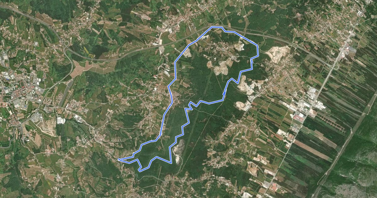 Маршрут Aljubarrota: Pelo Vale da Ribeira do Mogo на спутниковом снимке