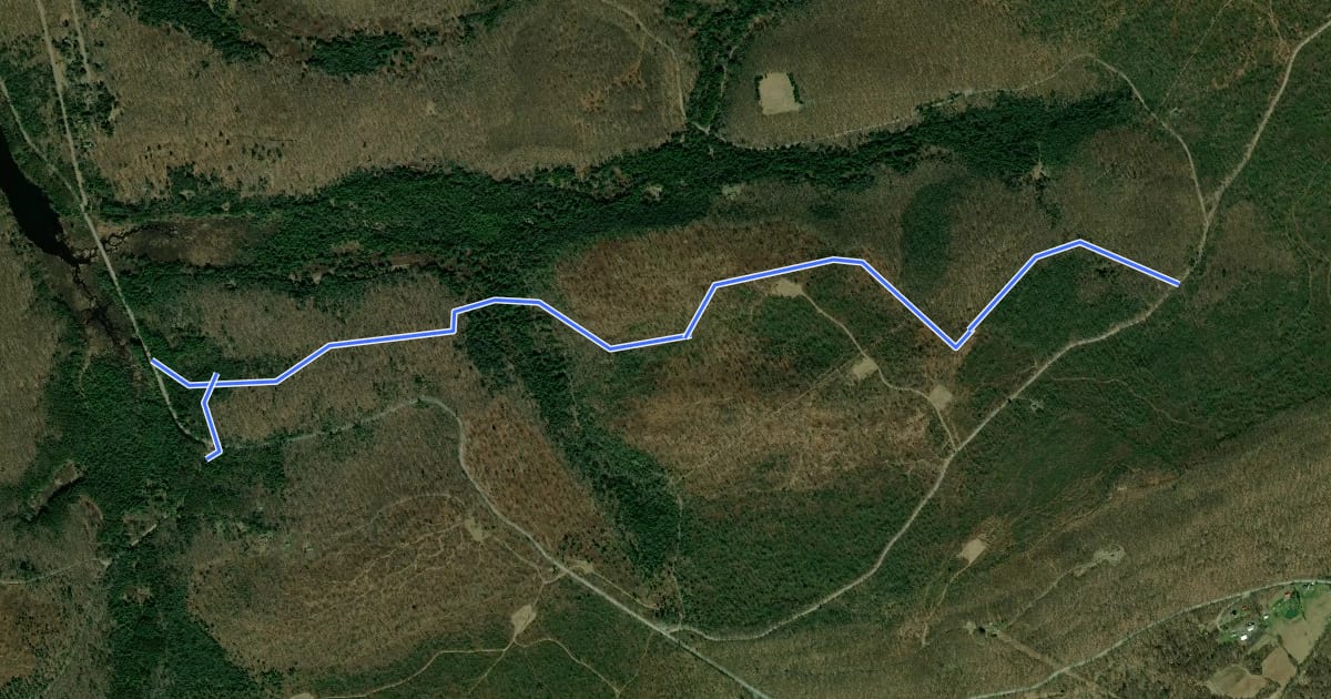 Маршрут Allegheny Front Trail - Horse на спутниковом снимке