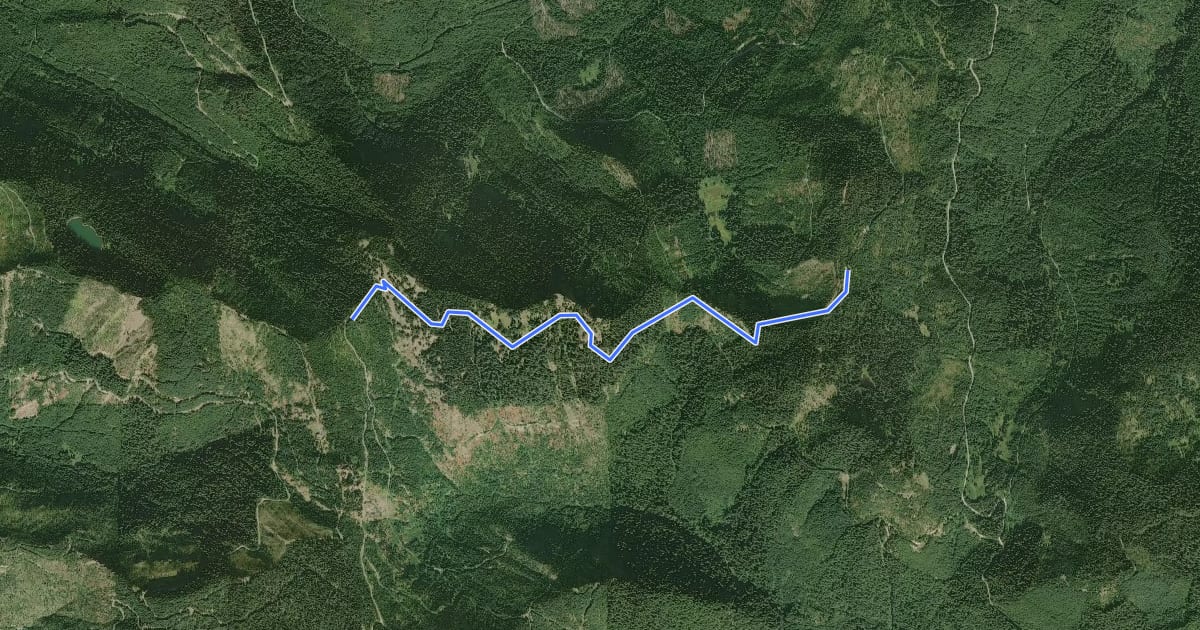 Маршрут Allen Mountain Trail #269 на спутниковом снимке
