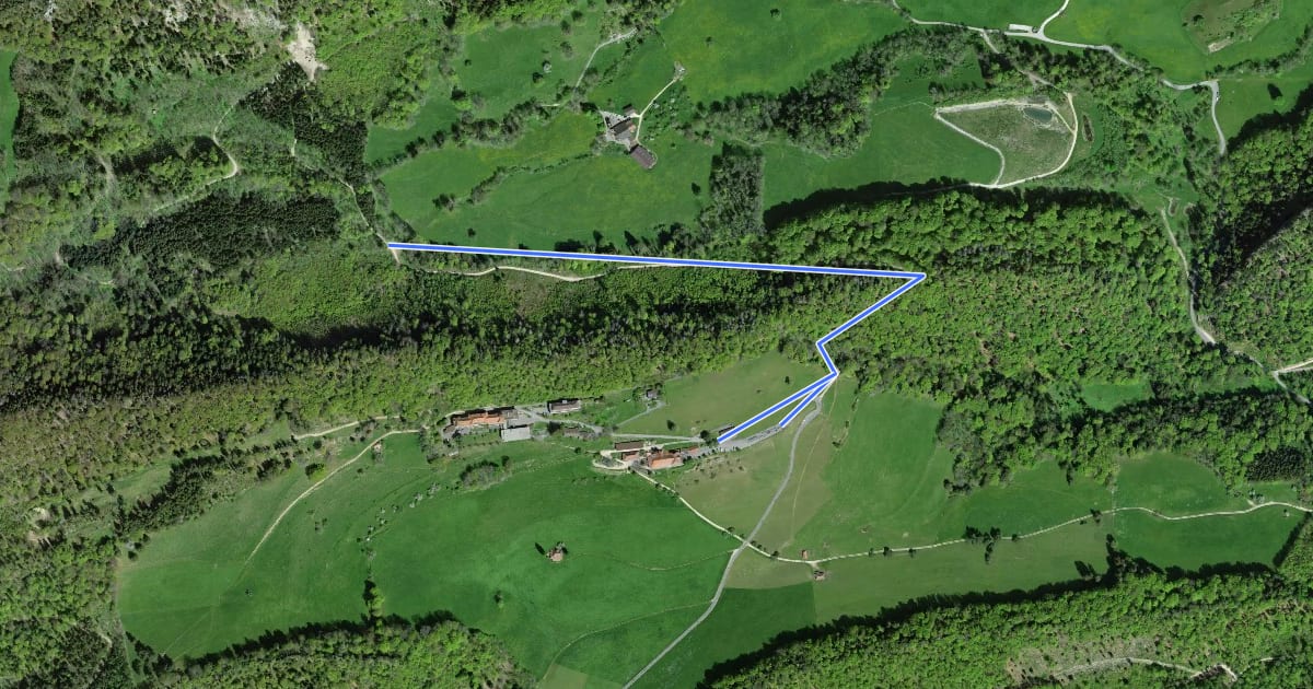 Маршрут Allerheiligenberg - Wuestweg на спутниковом снимке