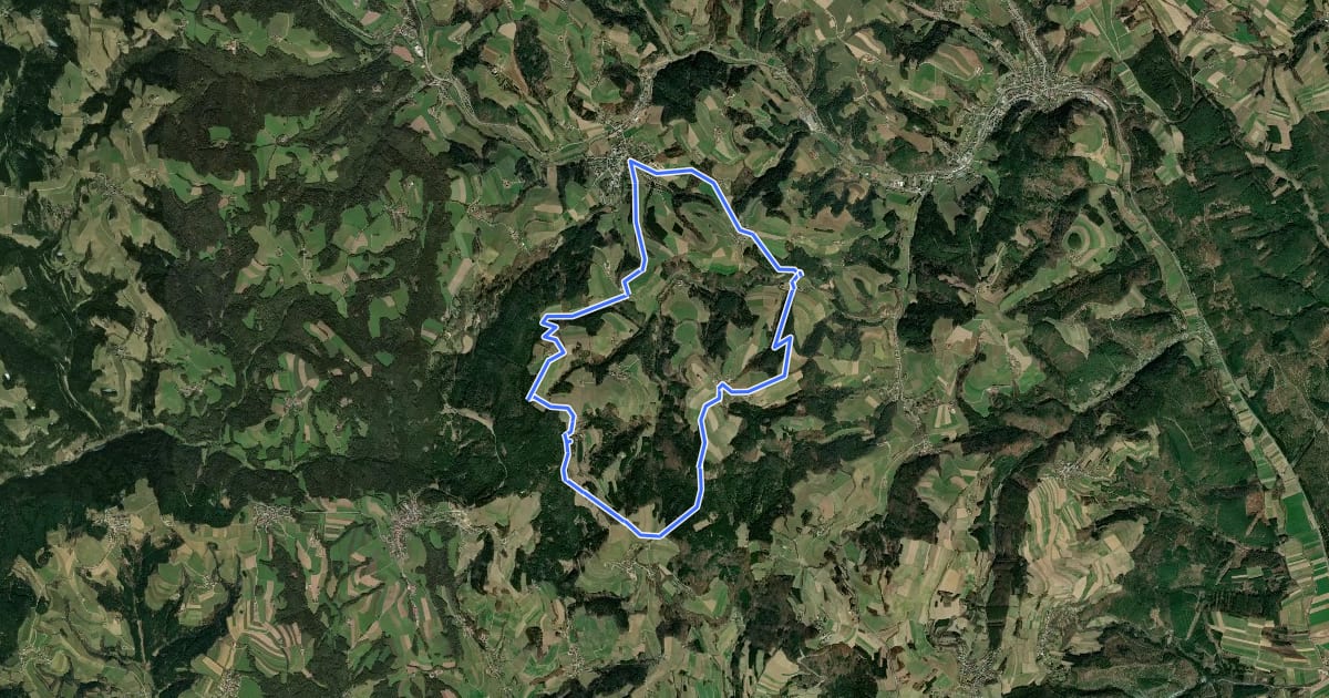 Маршрут Almenweg (Bad Schönau - Hutwisch - Schlägen Rundwanderweg) на спутниковом снимке