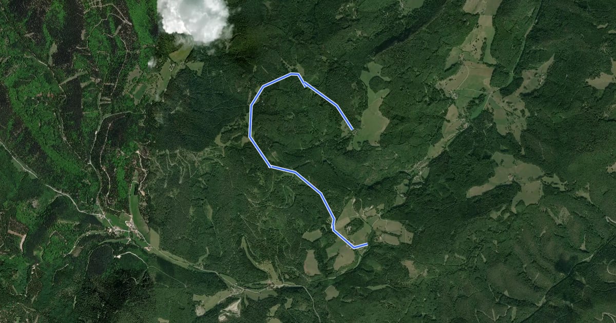 Маршрут Almesbrunnberg (Touristenheim) - Berg на спутниковом снимке