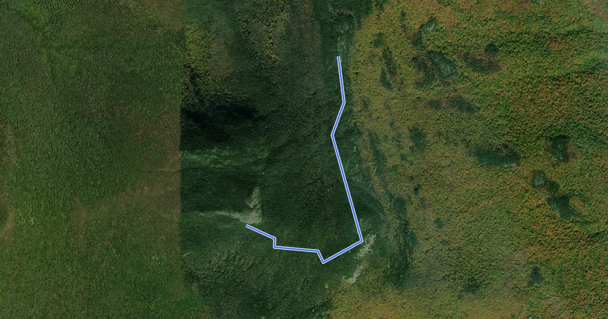 Маршрут Alpine Trail на спутниковом снимке