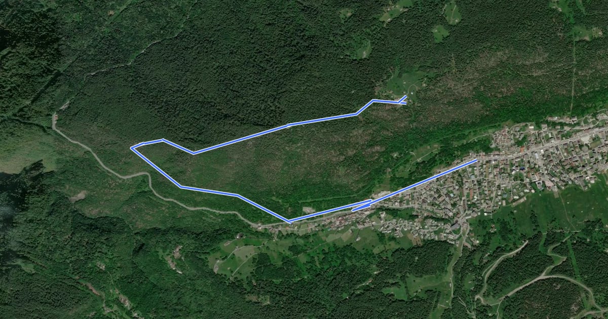 Маршрут Alpini Trail на спутниковом снимке