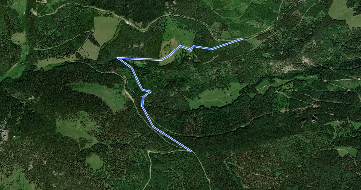 Маршрут Alpleck - Kaltwasserwiese - ehem. Hst. Termitzer Hütte на спутниковом снимке