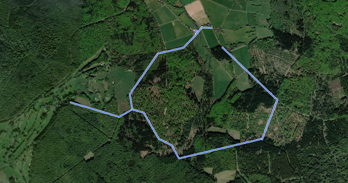Маршрут Alsberg - Golf-Club Spessart - Gelber Weg на спутниковом снимке