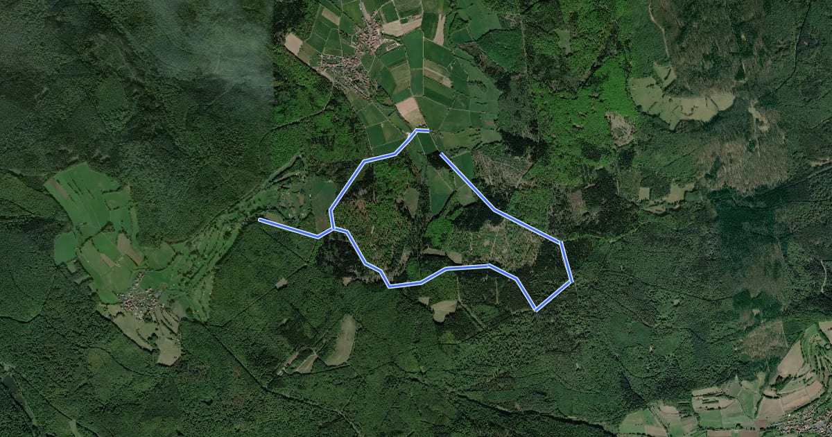 Маршрут Alsberg - Golf-Club Spessart - Roter Weg на спутниковом снимке