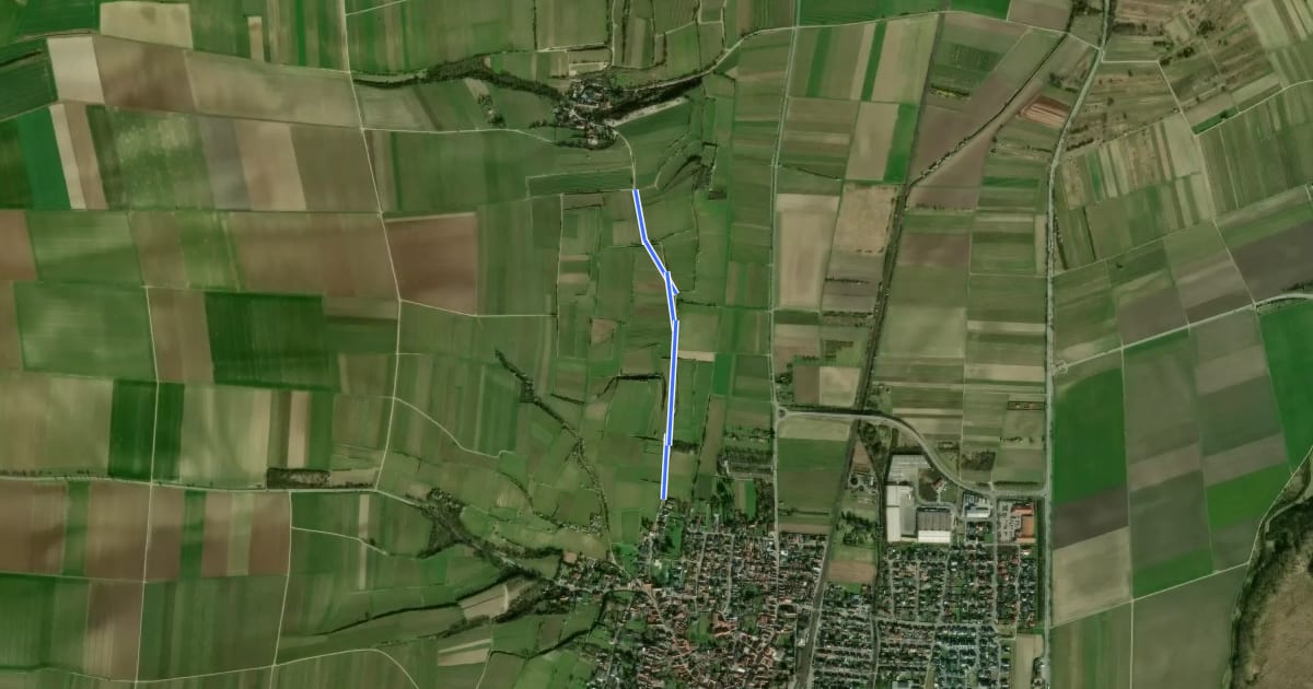 Маршрут Alsheim 2: Weinwanderweg на спутниковом снимке