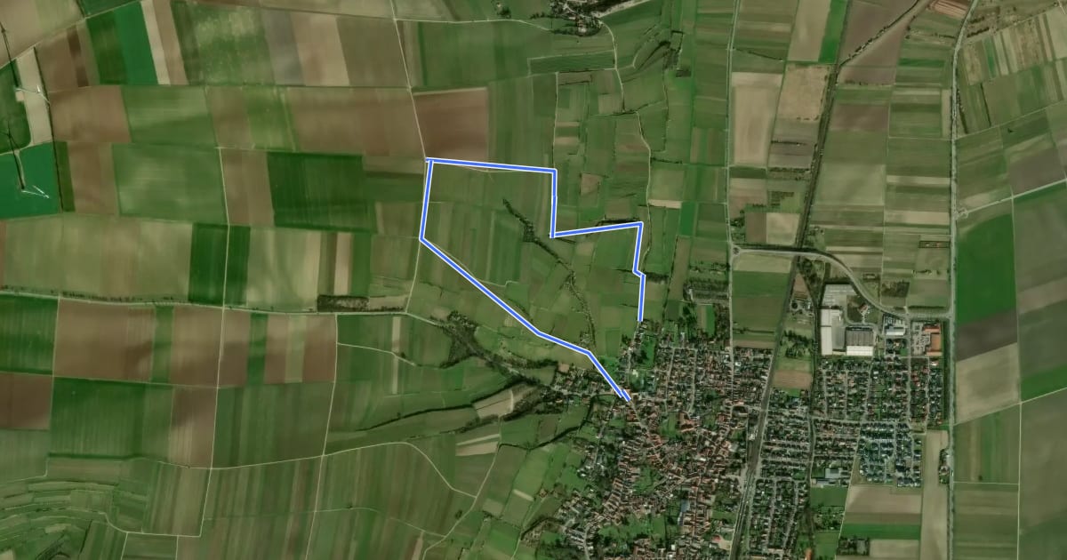 Маршрут Alsheim 3: Münzelhohlweg на спутниковом снимке