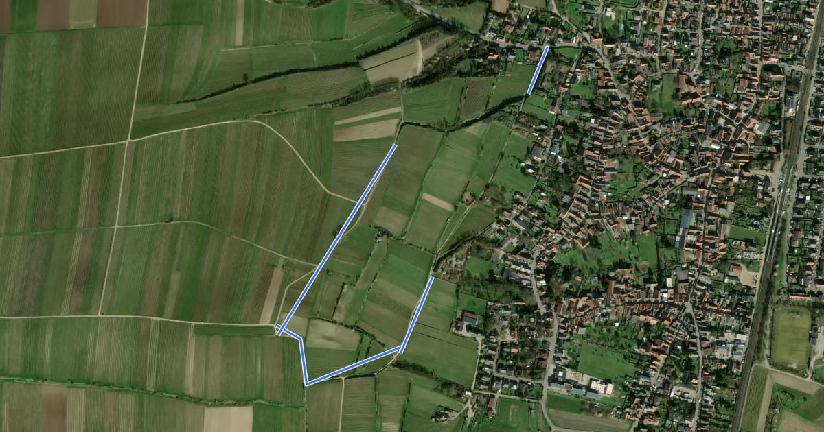 Маршрут Alsheim 4: Rosenbergshohlweg на спутниковом снимке
