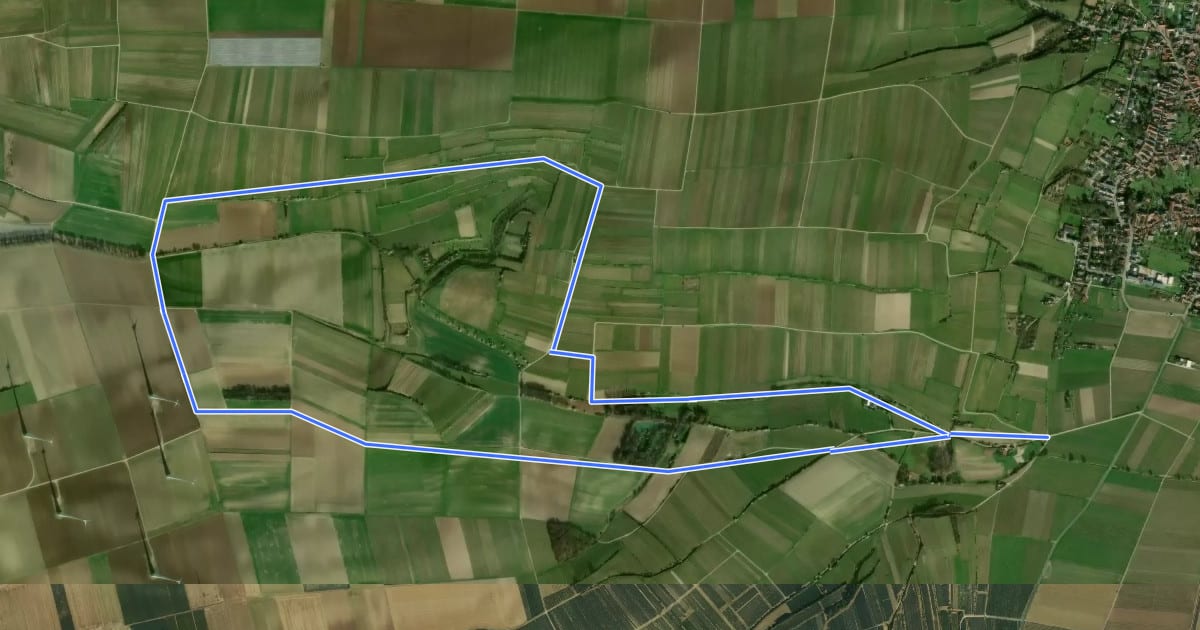 Маршрут Alsheim 5: Dorschbergerhohlweg на спутниковом снимке