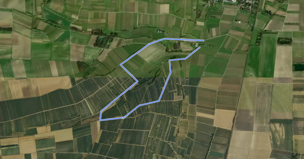 Маршрут Alsheim 6: Goldbergshohlweg на спутниковом снимке