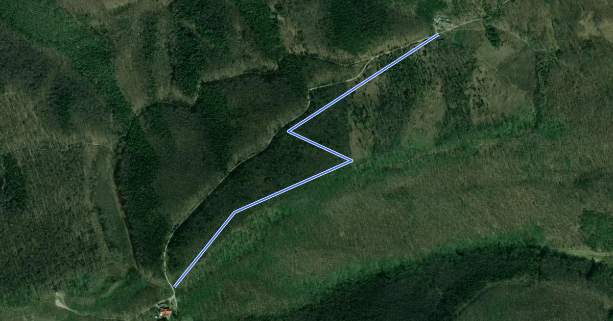 Маршрут Alte Rodelbahn на спутниковом снимке