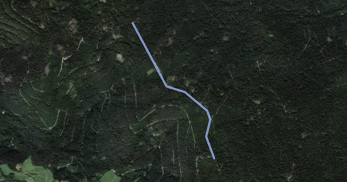 Маршрут Alte Weinstraße - Forstrat Ebert-Hütte на спутниковом снимке